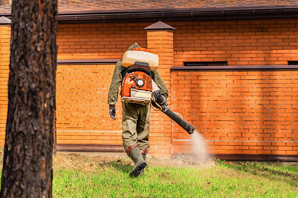 Trusted Rodent Control service in Lake Elmo, MN - Nex Pest Control